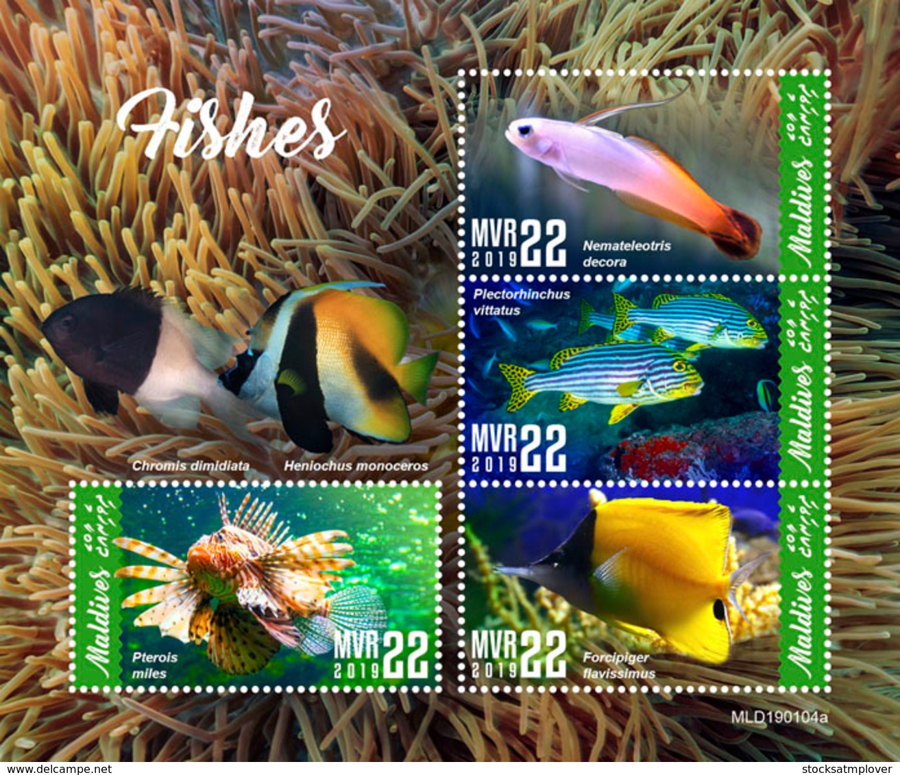 Maldives  2019   Fauna  Fishes  S201904 - Maldives (1965-...)