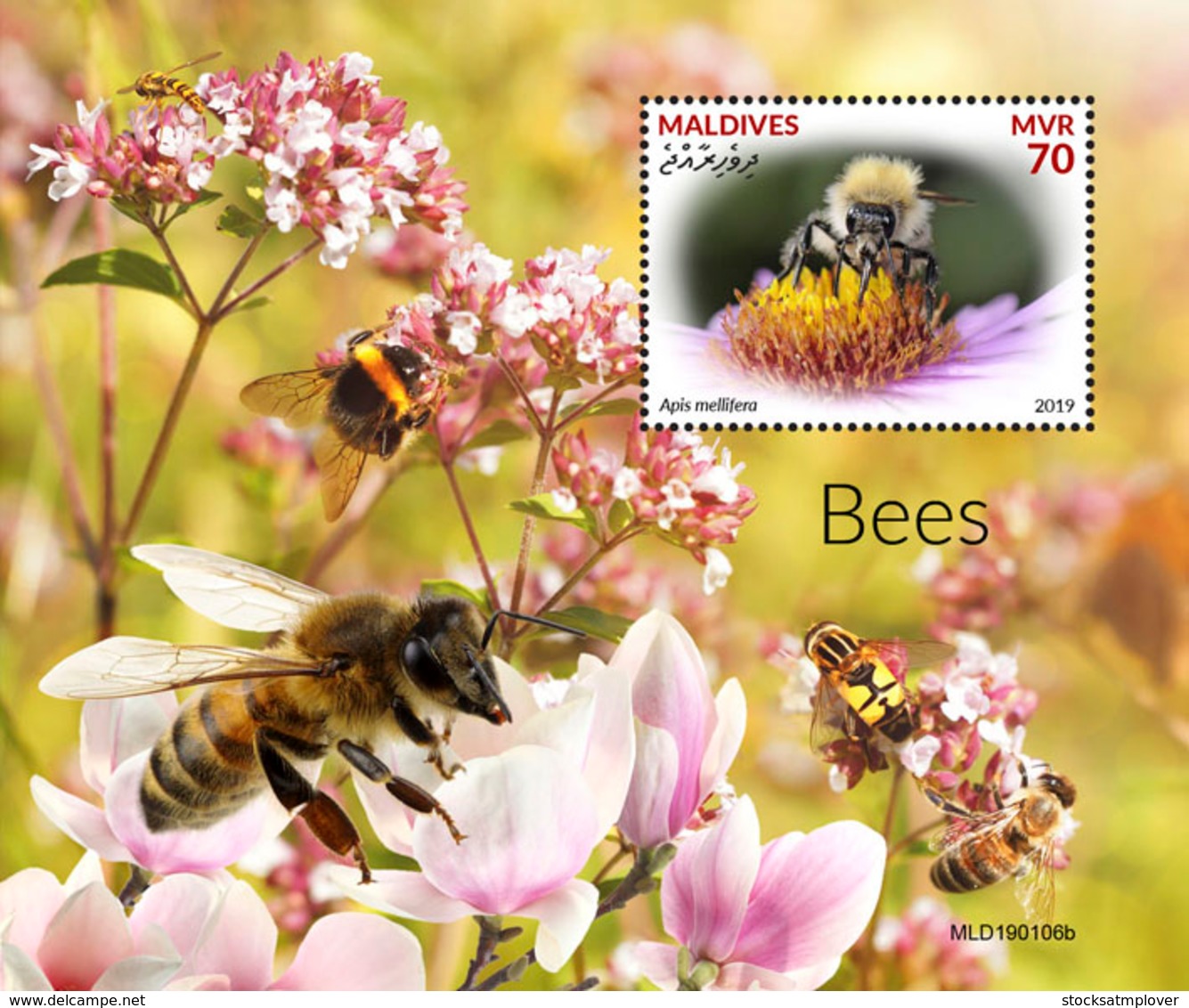 Maldives  2019   Fauna Bees  S201904 - Maldives (1965-...)