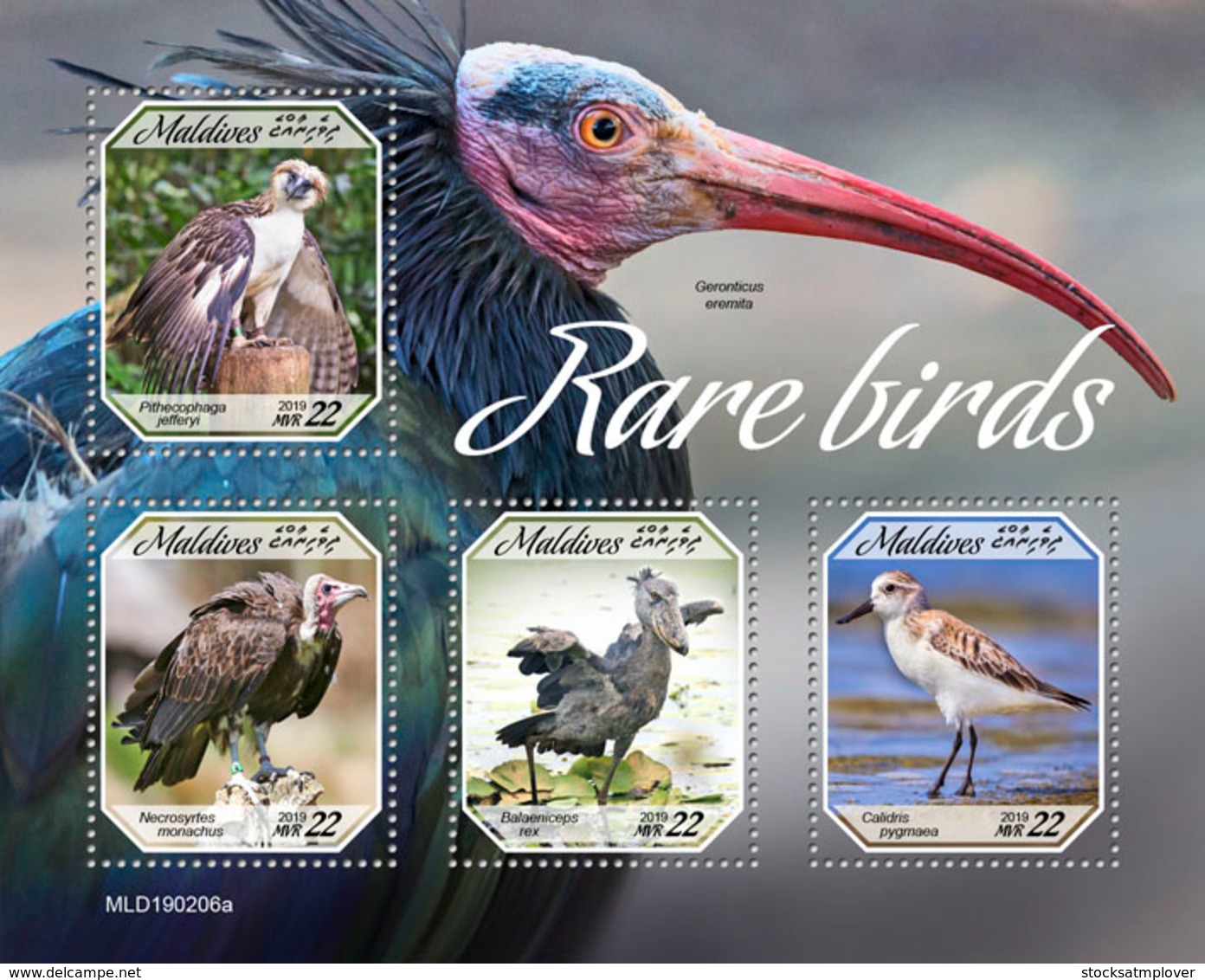 Maldives  2019   Fauna  Rare Birds  S201904 - Maldives (1965-...)