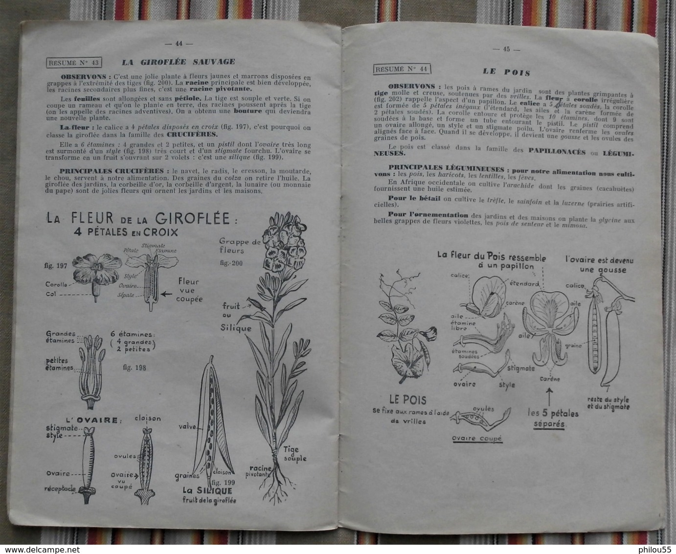 Memento du CM J. ANSCOMBRE Illustrateur R. DUMAINE Sciences