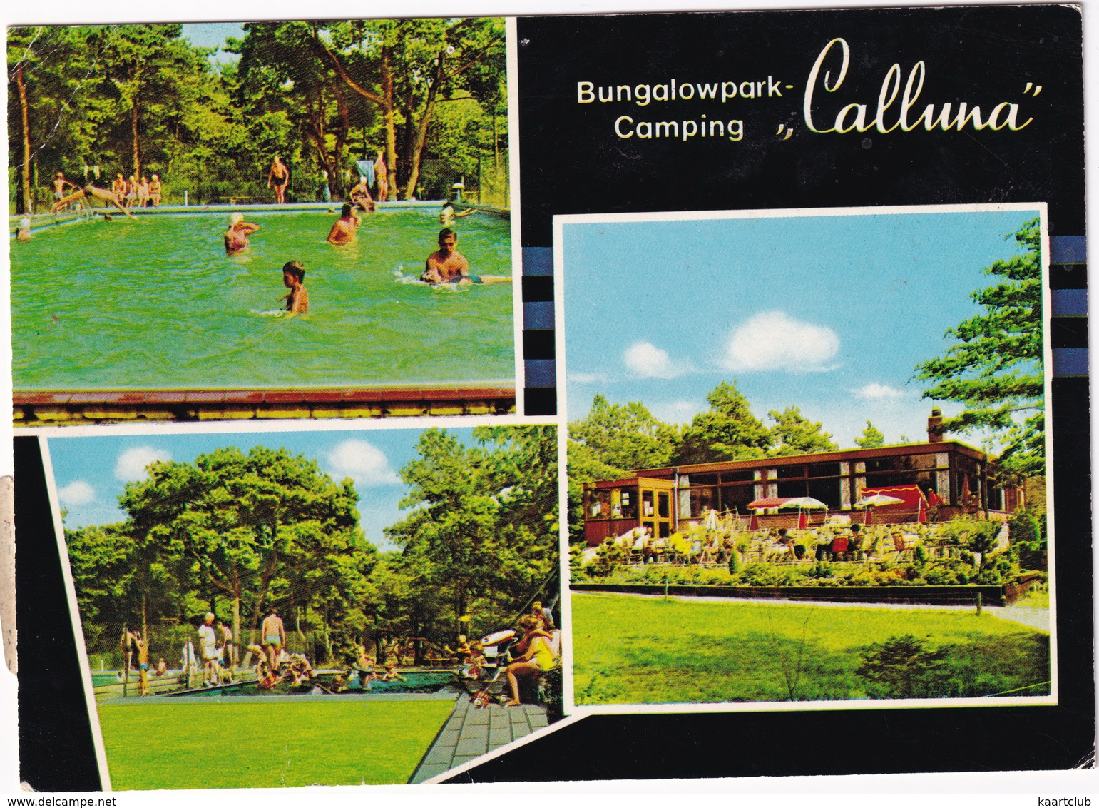 Ommen  - Bungalowpark-Camping 'Calluna', Stouweweg 3 - 2x Zwembad  - (Overijssel) - Ommen