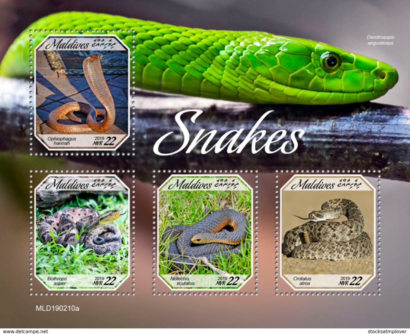 Maldives  2019   Fauna  Snakes  S201904 - Maldives (1965-...)