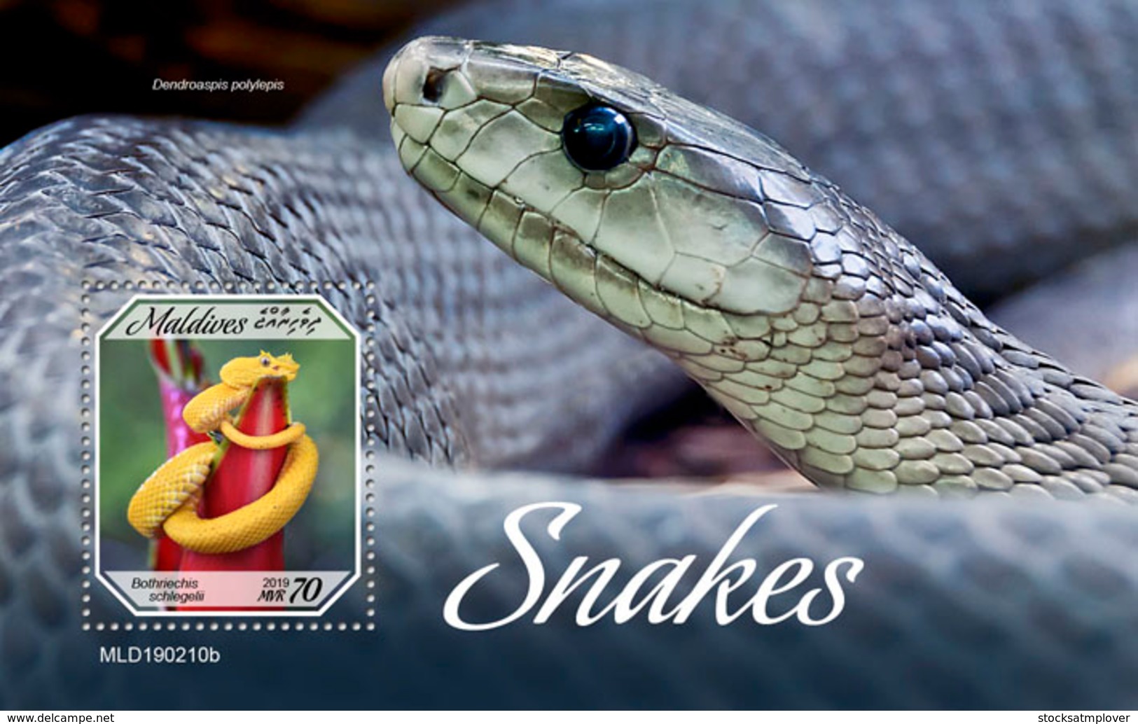 Maldives  2019   Fauna  Snakes  S201904 - Maldives (1965-...)