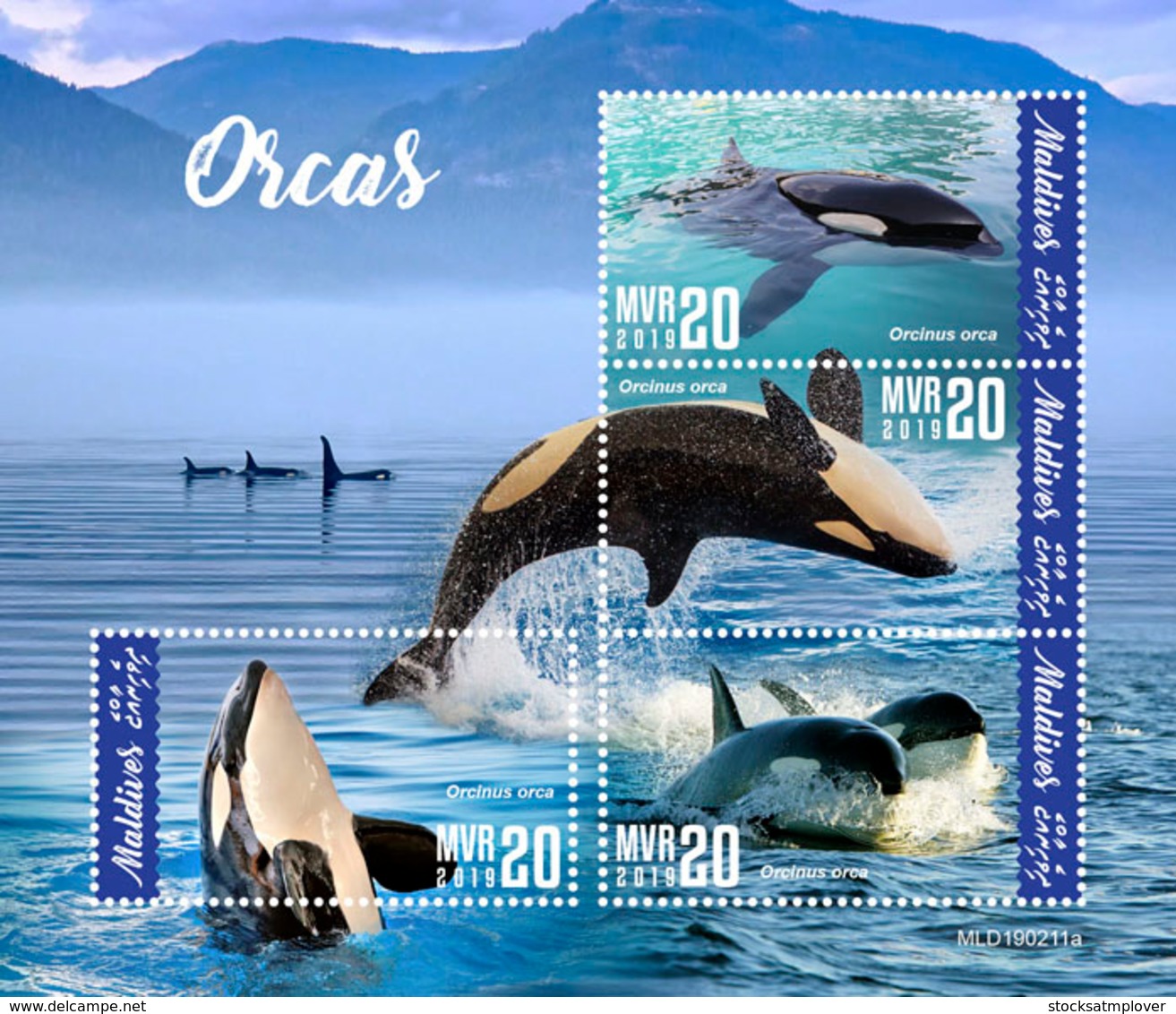 Maldives  2019   Fauna Orcas  Whales   S201904 - Maldives (1965-...)