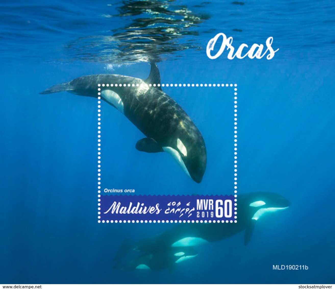 Maldives  2019   Fauna Orcas  Whales   S201904 - Malediven (1965-...)