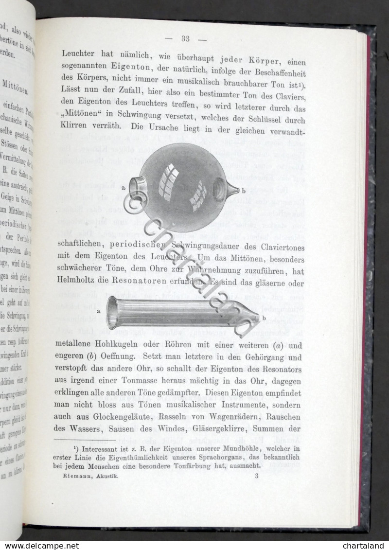 Musica - L. Riemann - Populare Darstellung Der Akustik - 1^ Ed. 1896 - Non Classificati