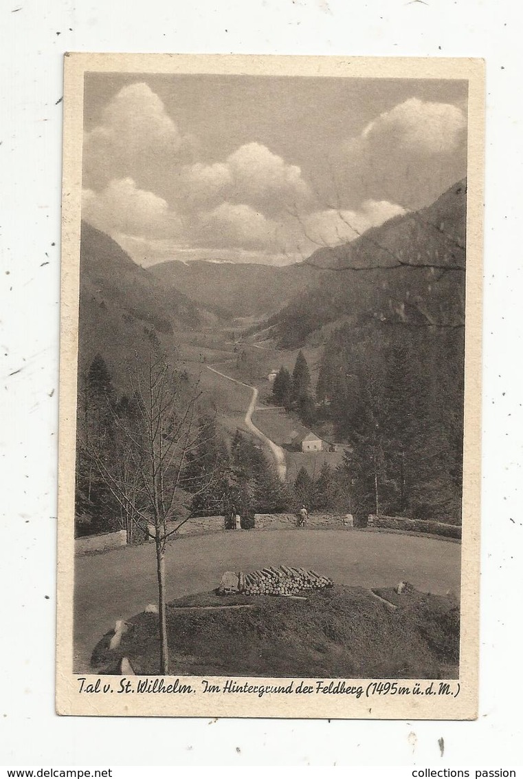 Cp, Allemagne , FELDBERG ,  ST. WILHELM , Vierge ,  Ed. Hermann - Feldberg