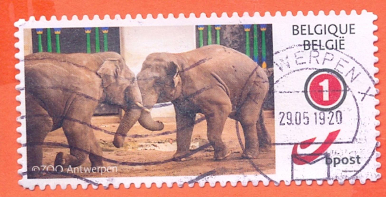 Belgium 2019 MyStamp Self-adhesive Fine Used, Antwerp Zoo, Asian Elephant, Elephas Maximus - Eléphants