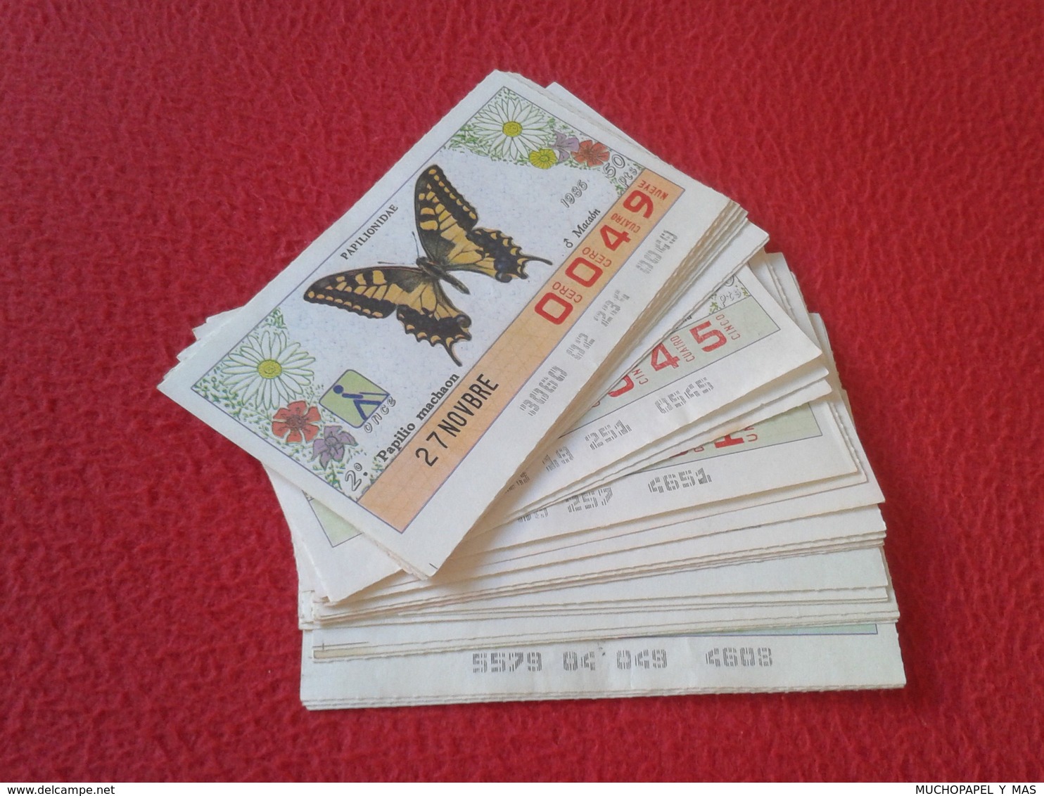 LOTE 32 CUPONES DE ONCE LOTTERY SPAIN LOTERÍA BLIND 1986 87 MARIPOSA MARIPOSAS BUTTERFLY BUTTERFLIES PAPILLON PAPILLONS - Billetes De Lotería