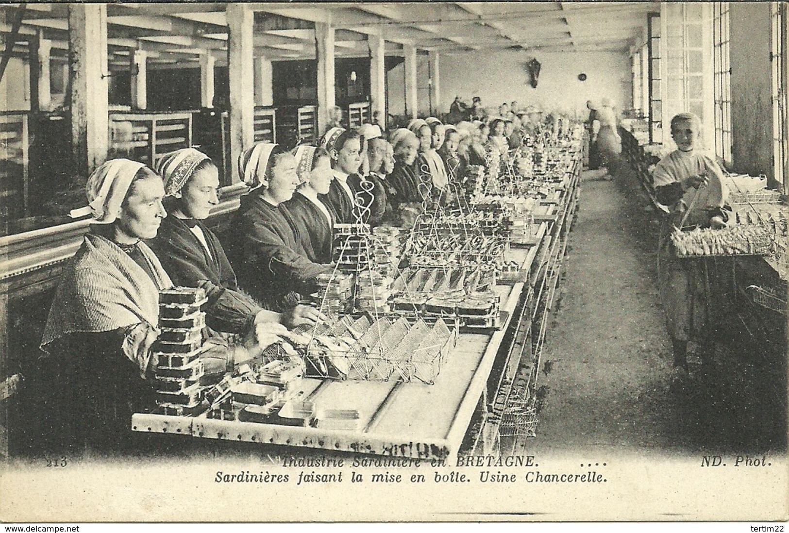 ( BRETAGNE )( 29 FINISTERE  )( USINE CHANCERELLE )( METIERS )( FEMMES )( SARDINIERES ) - Industrie