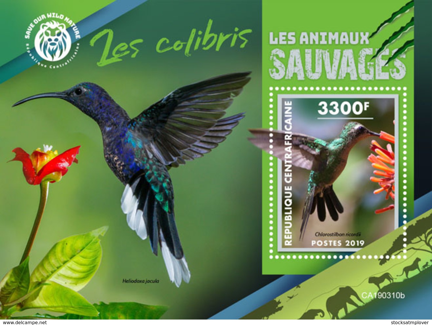 Central Africa 2019  Fauna   Colibri  Birds S201904 - Central African Republic