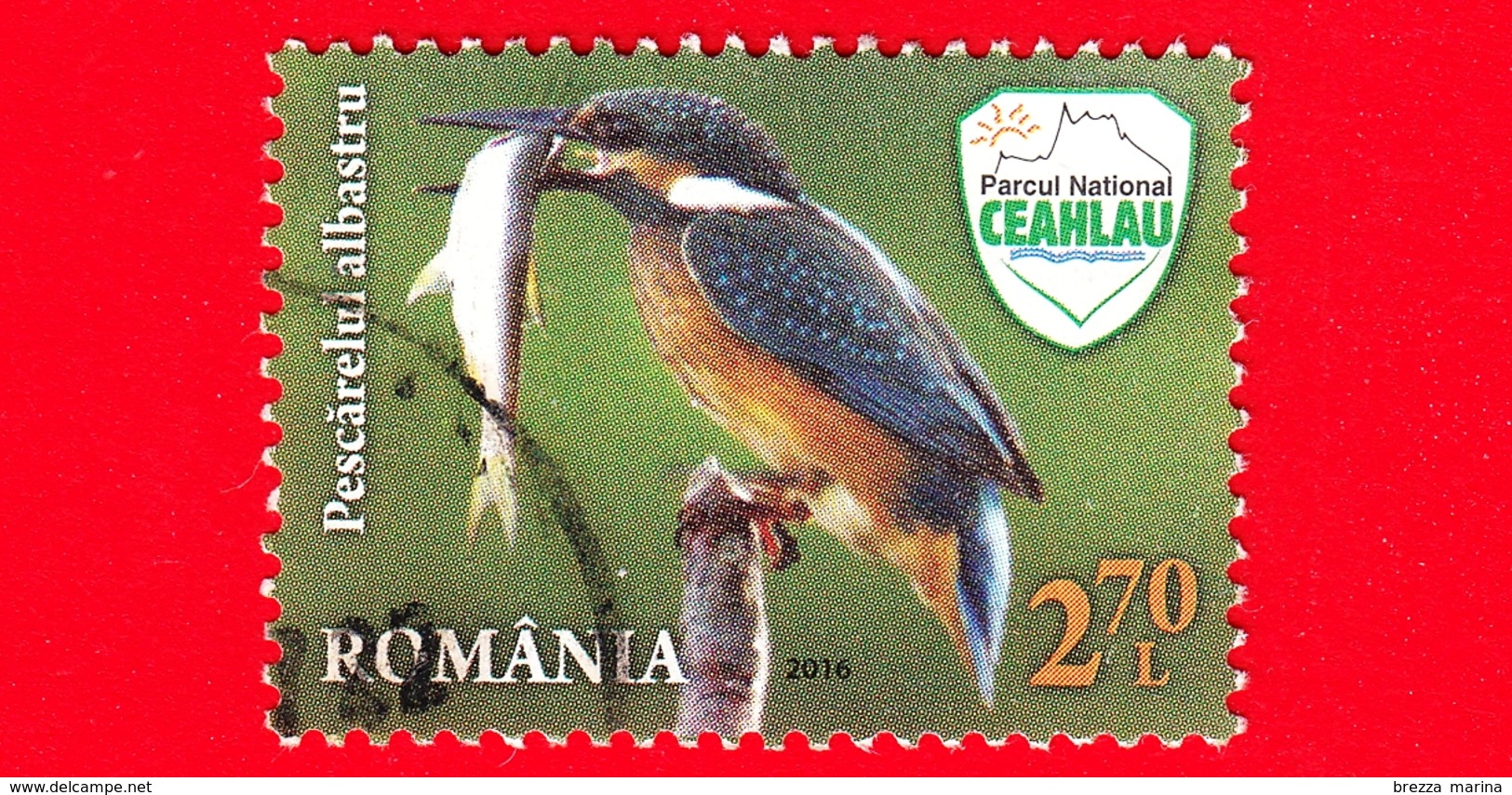 ROMANIA - Usato - 2016 - Ama La Natura! Parco Nazionale Di Ceahlau - Martin Pescatore - 2.70 - Oblitérés