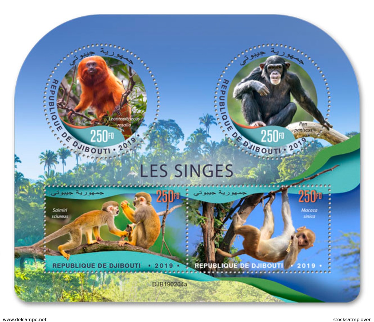 Djibouti  2019  Fauna Monkeys  Chimpanzee    S201904 - Djibouti (1977-...)