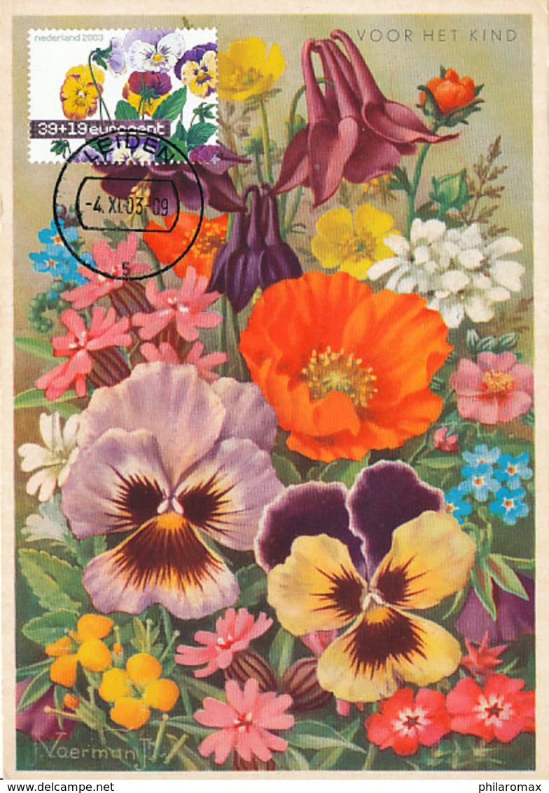 D37496 CARTE MAXIMUM CARD FD 2003 NETHERLANDS - VIOLA VIOLETTES VIOOLTJES OP VHK KAART CP ORIGINAL - Maximumkarten (MC)