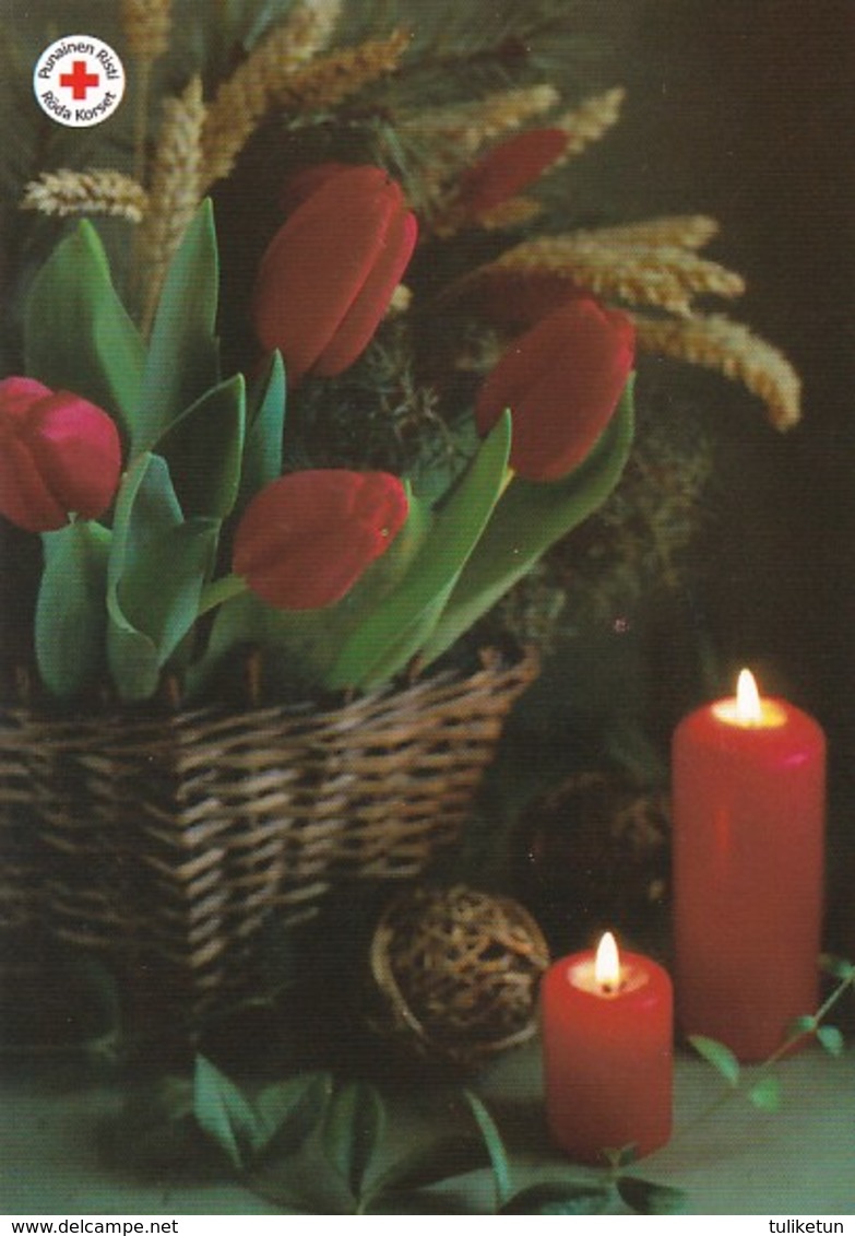 Postal Stationery - Birds - Bullfinches - Candles Lighting - Tulips - Red Cross 2005 - Suomi Finland - Postage Paid - Interi Postali