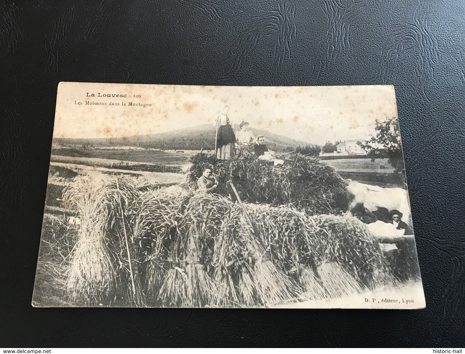 109 - LA LOUVESC Les Moissons Dans La Montagne - 1904 Timbrée - La Louvesc