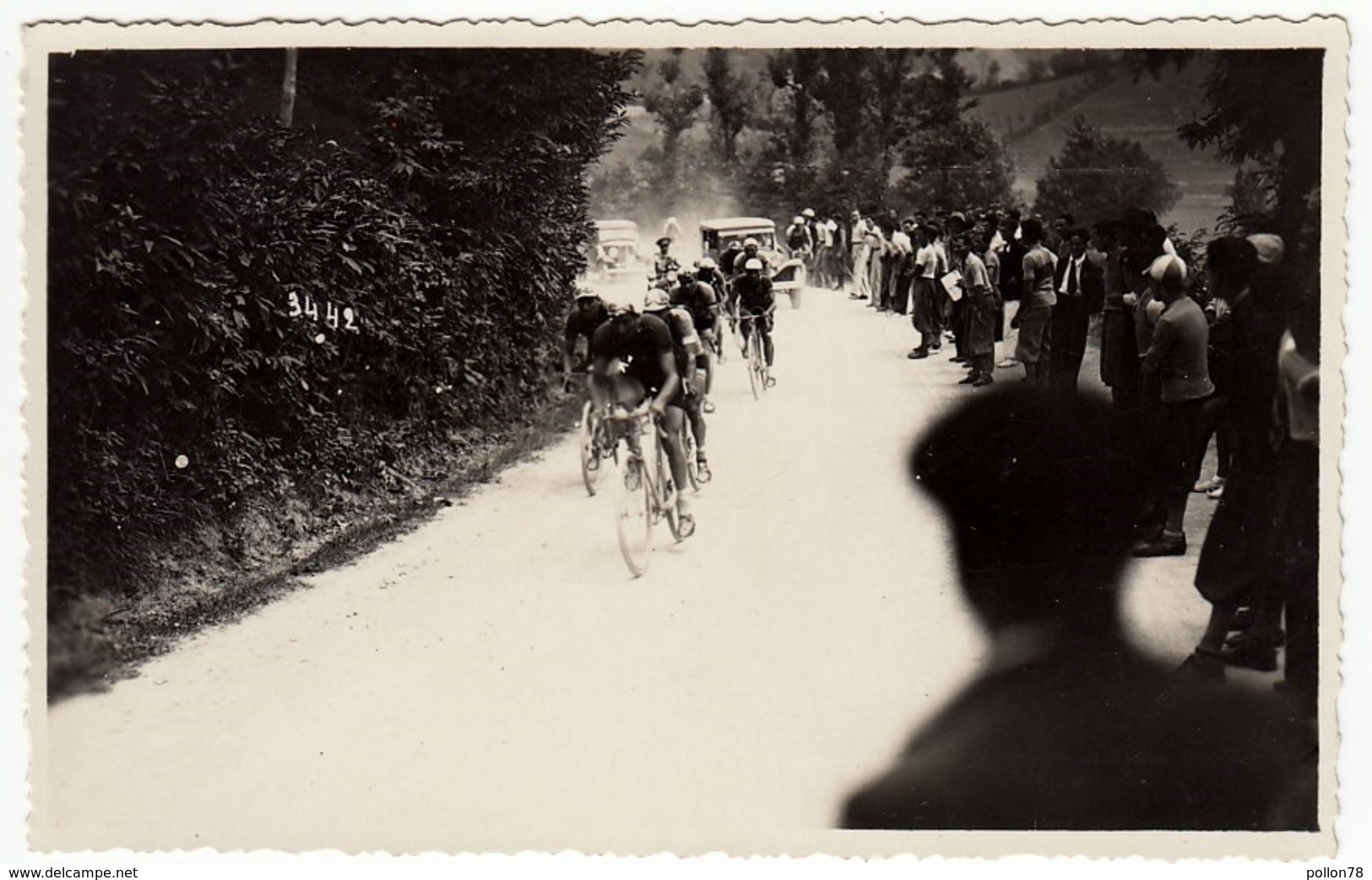 FOTOGRAFIA - CICLISMO ANTEGUERRA - CORSA CICLISTICA - COPPA GABRIELLA ZUCCHI - Vedi Retro - Ciclismo