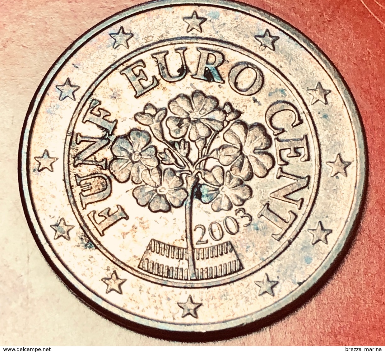 AUSTRIA - 2003 - Moneta - Primula Di Montagna - Euro - 0.05 - Austria