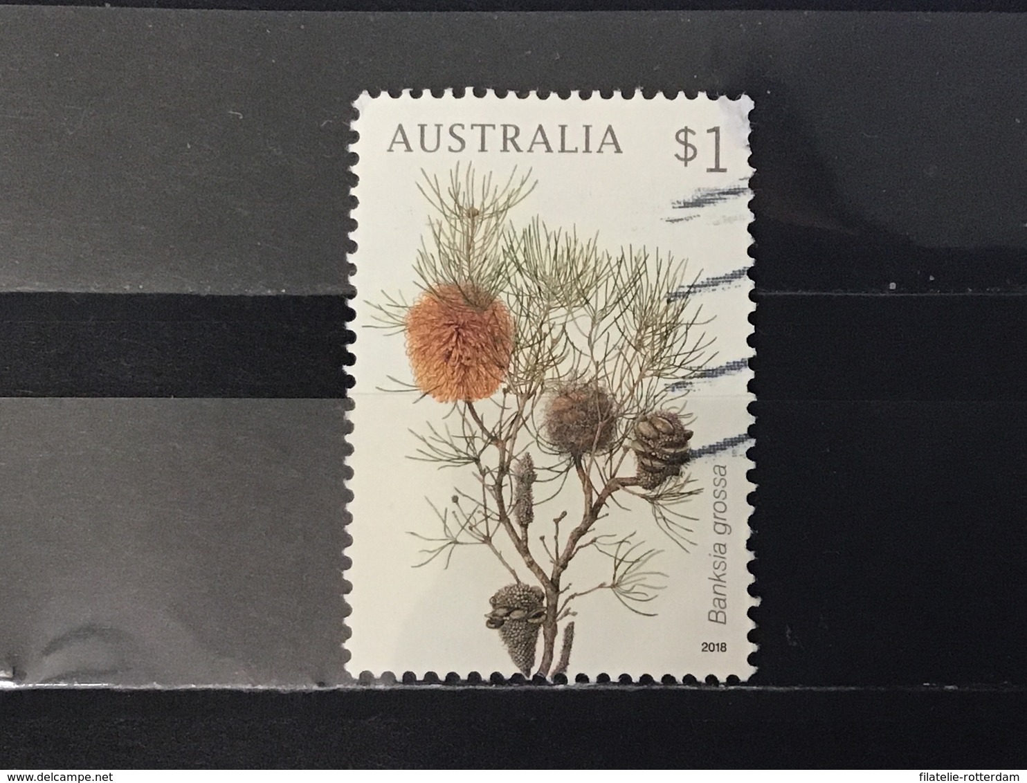 Australië / Australia - Banksias (1) 2018 - Used Stamps