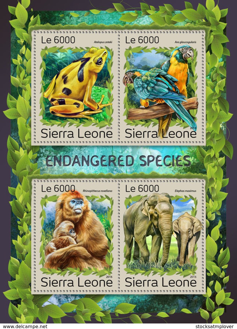 Sierra Leone 2016 Fauna Endangered Species Frog Elephant  Monkey Parrot - Sierra Leone (1961-...)