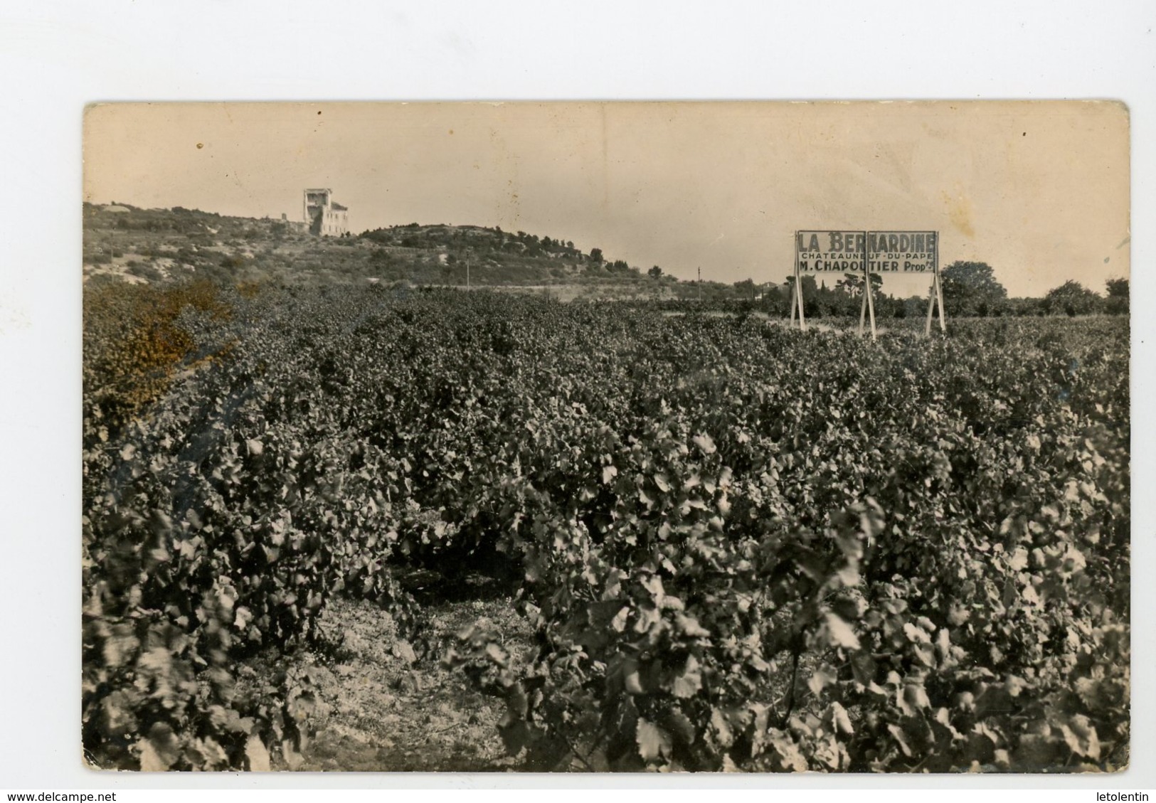 CPhoto - 84 - CHATEAUNEUF-DU-PAPE - LA BERNARDINE, M. CHAPOUTIER PROPRIÉTAIRE - - Chateauneuf Du Pape