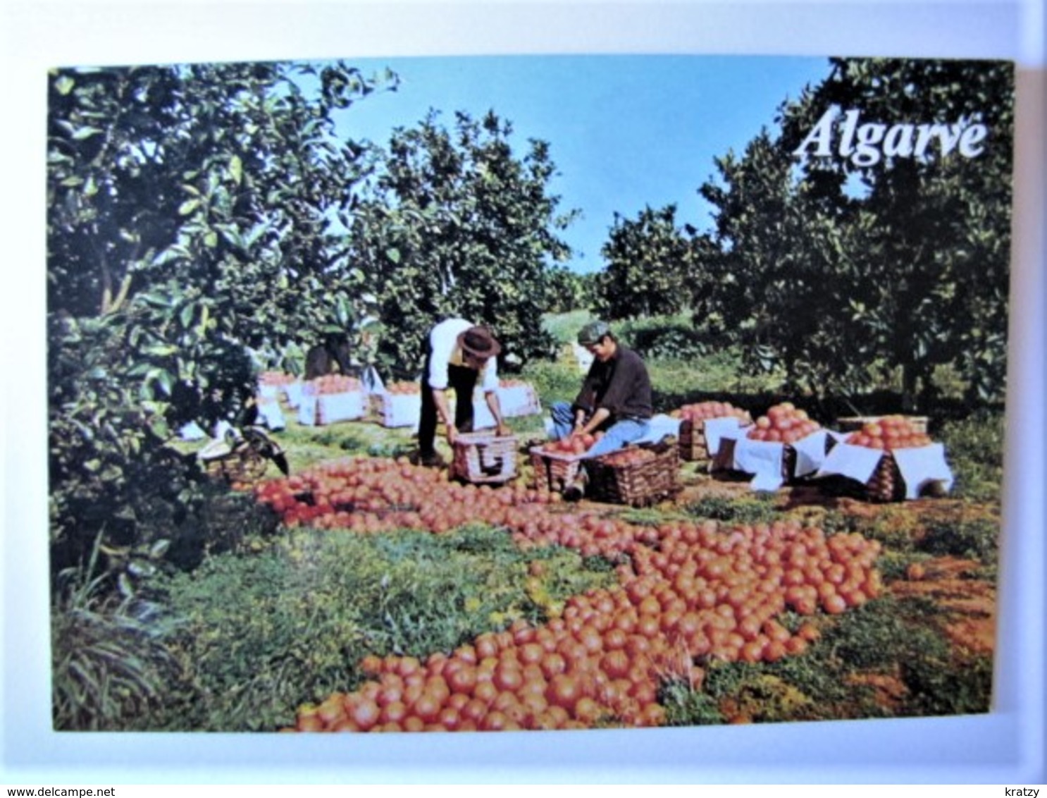 PORTUGAL - ALGARVE - Autres & Non Classés