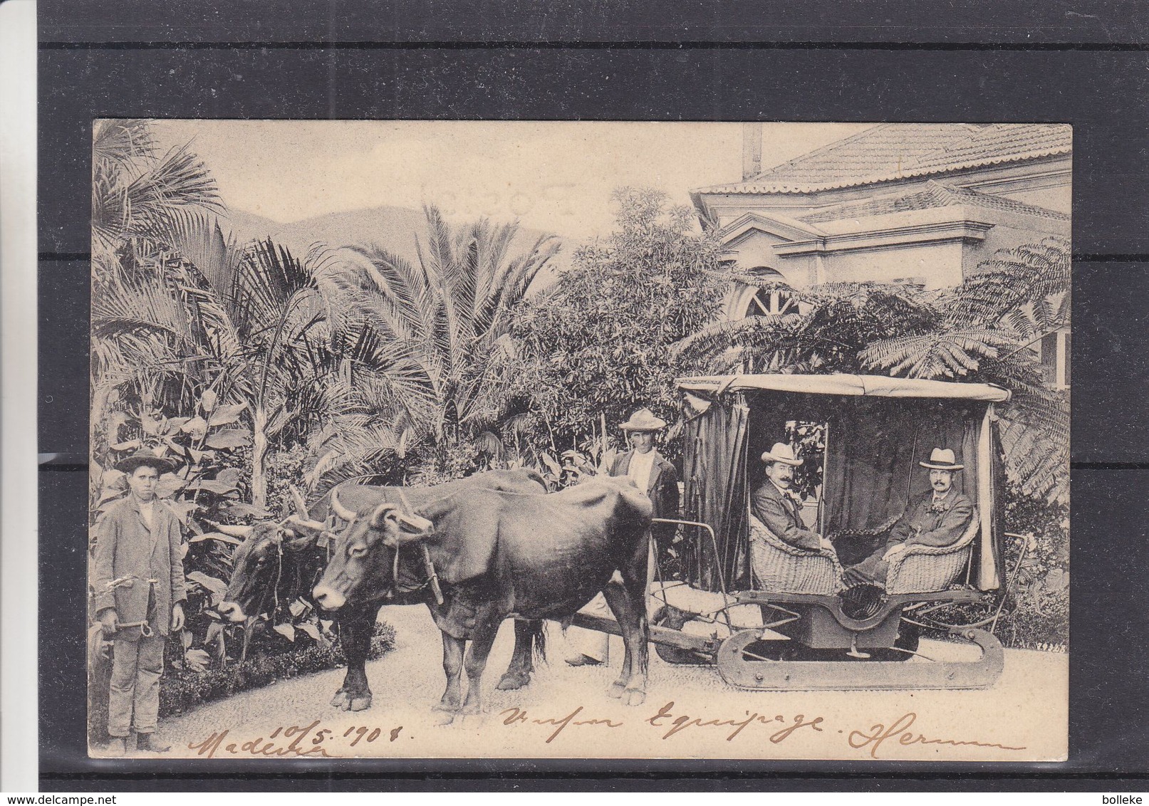Portugal - Madeire - Carte Postale De 1904 - Oblit Funchal - Exp Vers Hochst - Madère