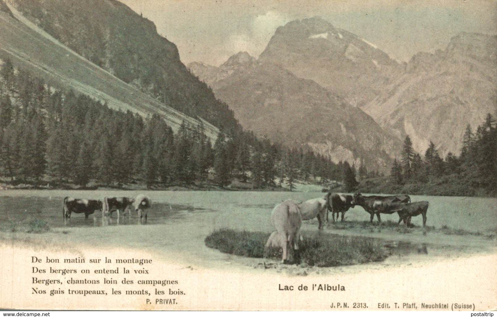 Lac De L'ALBULA . Suiza Switzerland Suisse Schweiz - Otros & Sin Clasificación