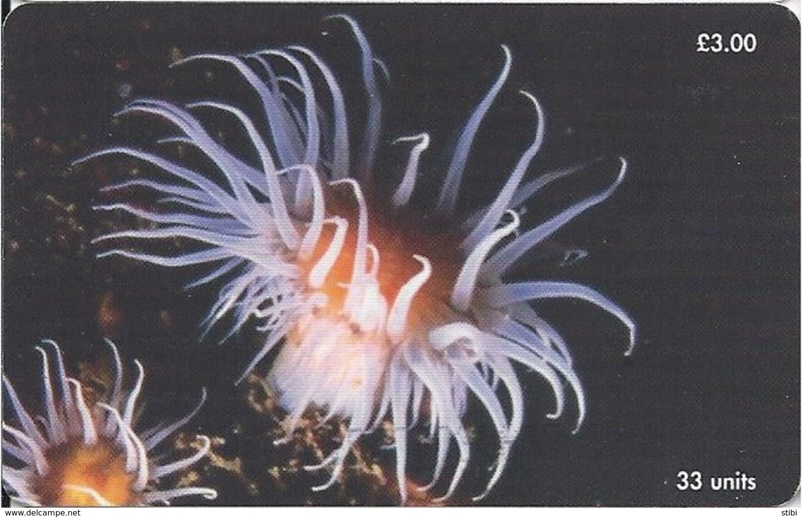 ISLE OF MAN -Anemone (Actinothoe Sphyrodeta)  - 6.000EX - Isla De Man