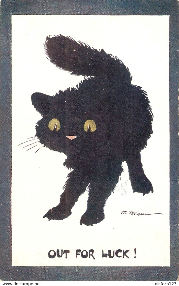 "F.E. Morgan. Black Cat. Out For Luck!" Tuck Oilette Out For Luck Ser. PC # 8479 - Tuck, Raphael
