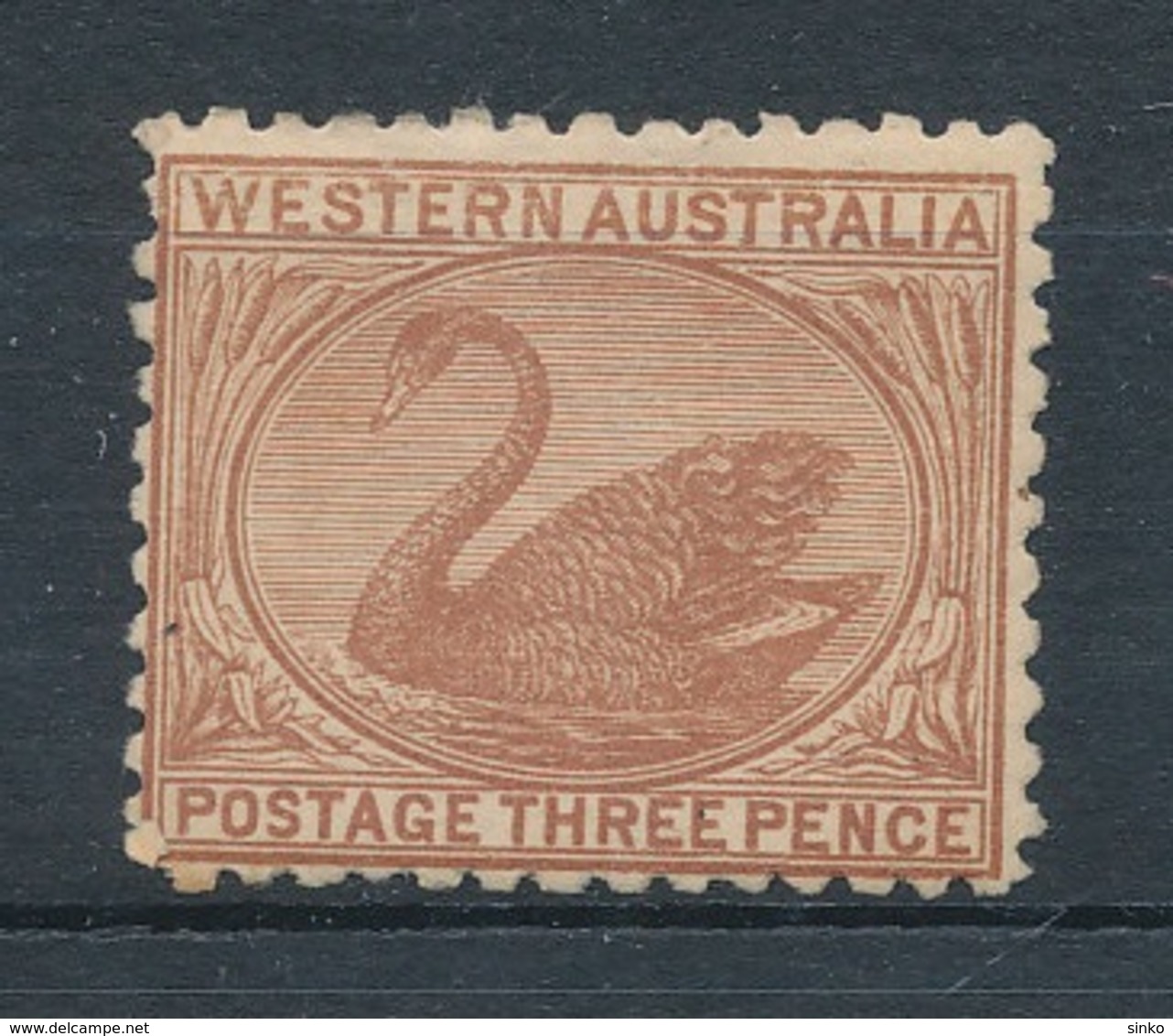 1905. Western Australia - Ongebruikt
