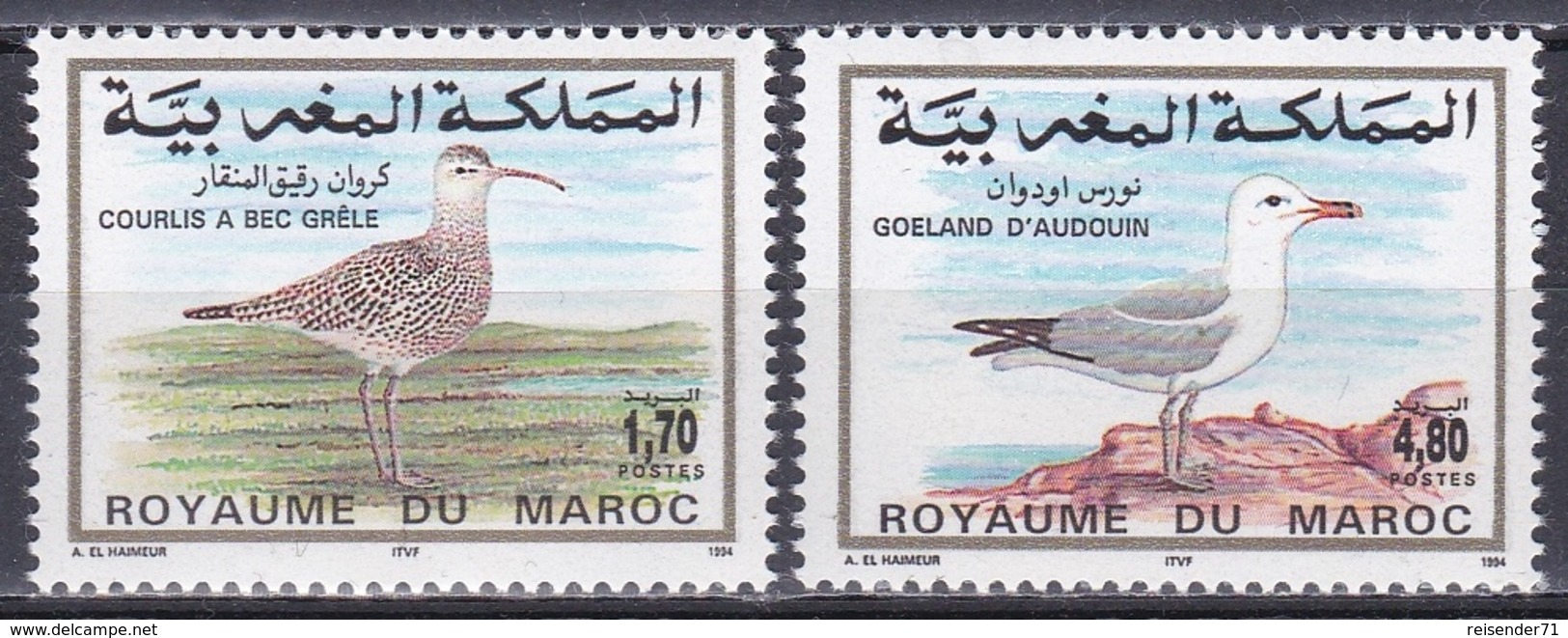 Marokko Morocco 1994 Tiere Fauna Animals Vögel Birds Oiseaux Aves Uccelli Brachvogel Möwe Seagull Gull, Mi. 1257-8 ** - Maroc (1956-...)