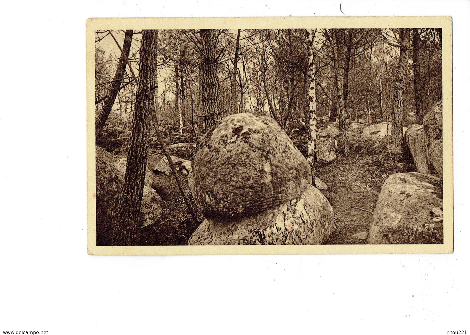 Cpa - FONTAINEBLEAU - LA FORET APREMONT - LE MOUSSERON CHAMPIGNON - Pierre Insolite - YVON 36 - Mushrooms