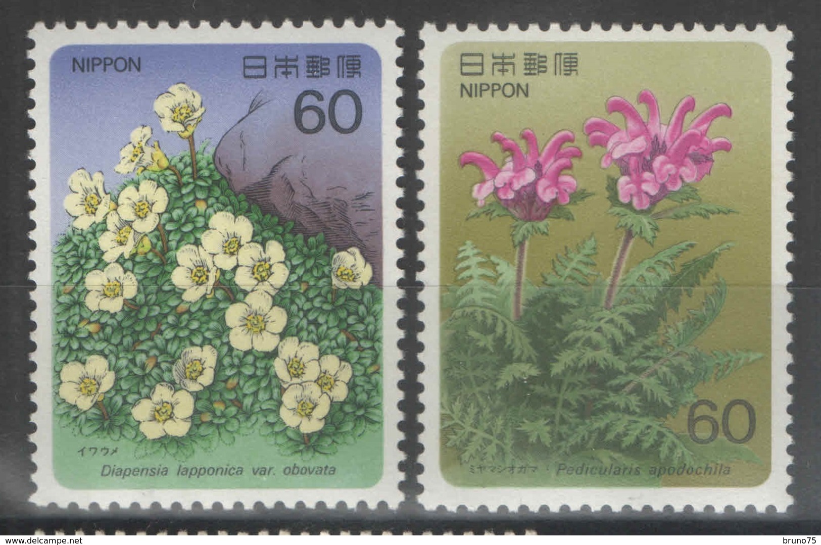 Japon - YT 1571-1572 ** - 1986 - Flore - Ungebraucht