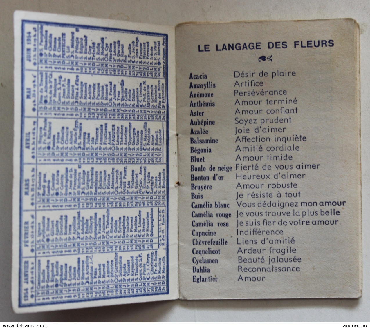 Calendrier 1954 Enfants Avec Chiens Illustrateur Calver Rogniat Fleuriste Bérangère 76 Rue Cambronne Paris - Petit Format : 1941-60