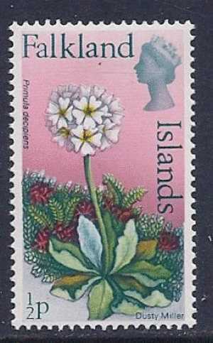 Falkland Islands, Scott # 210B MNH Dusty Miller Flower , 1975 - Falkland Islands