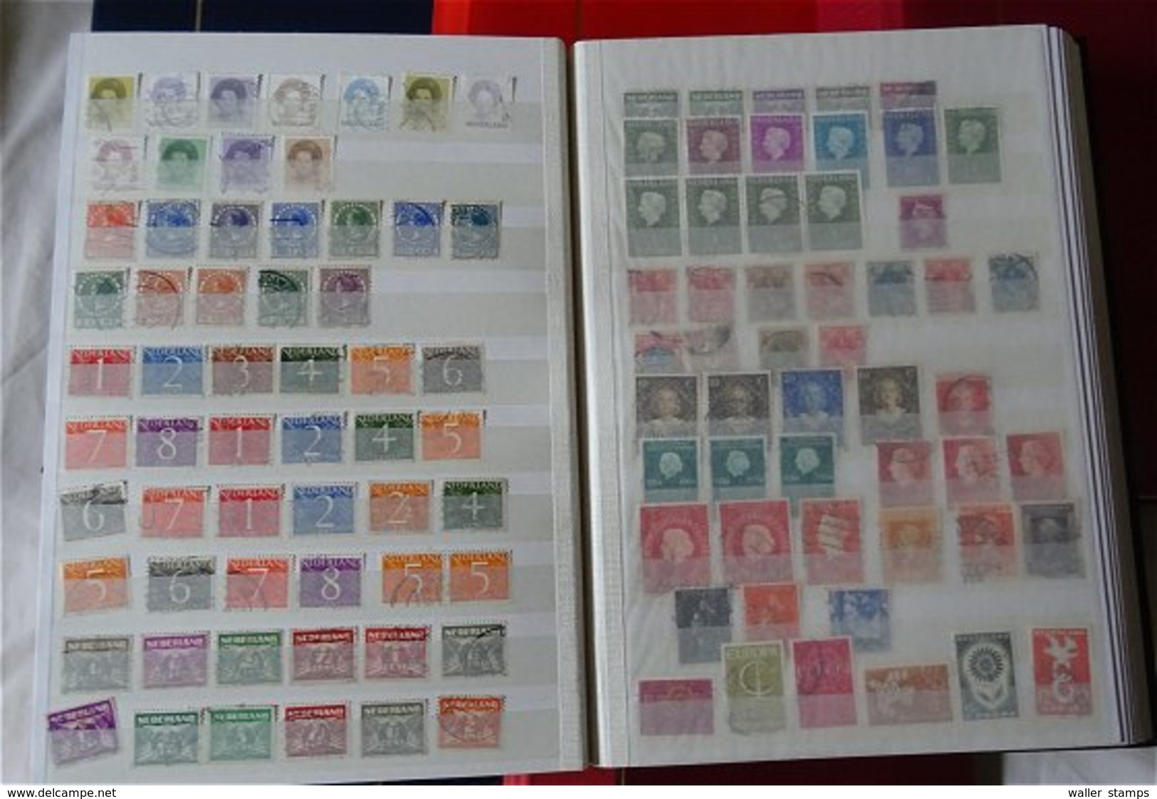 Lot With World Stamps In 10 Albums