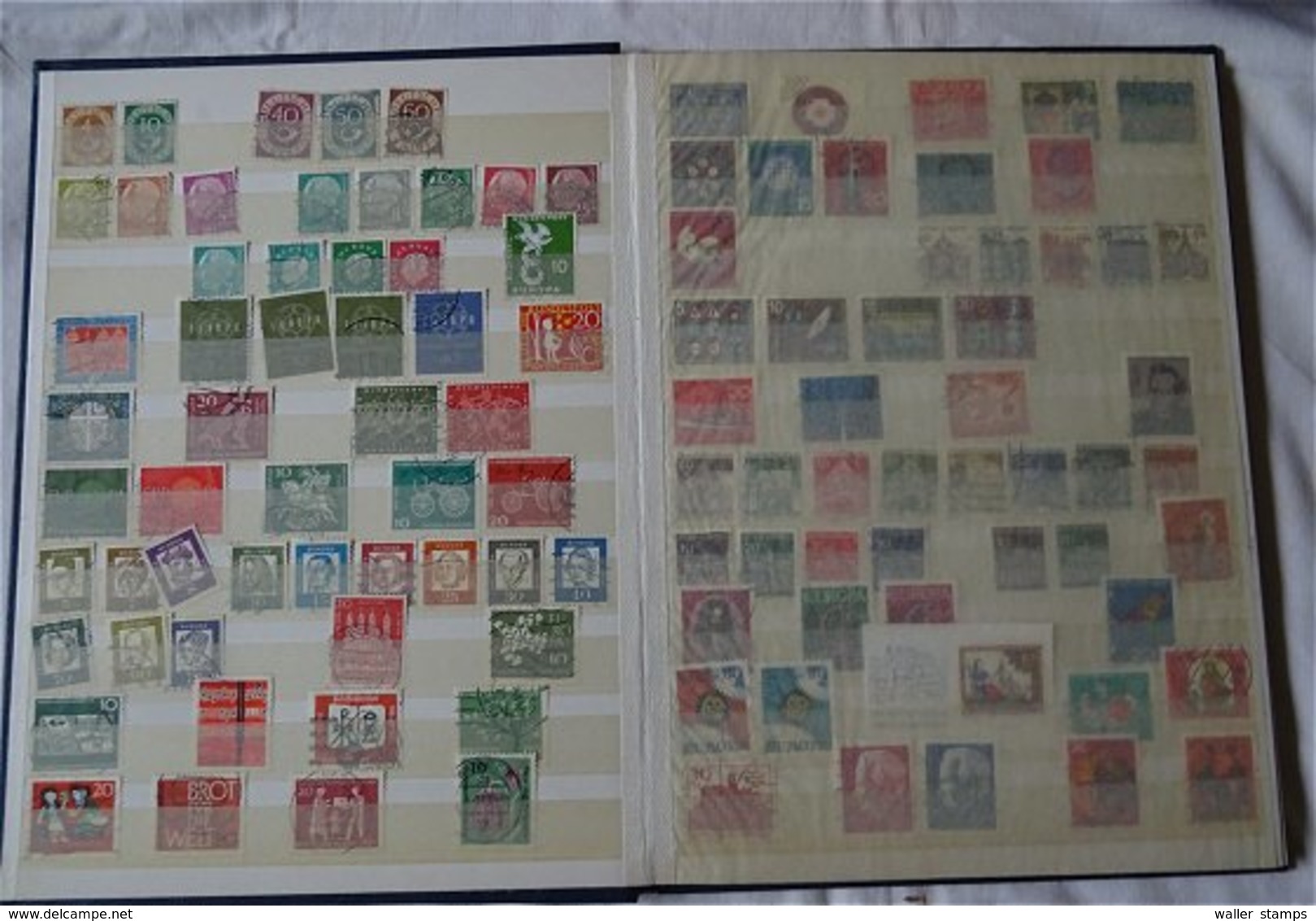 Lot With World Stamps In 10 Albums