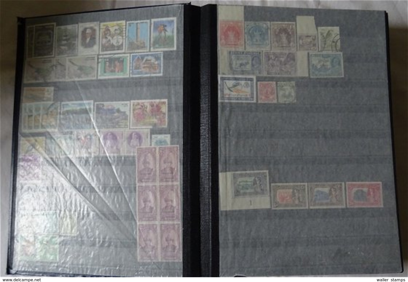 Lot With World Stamps In 10 Albums