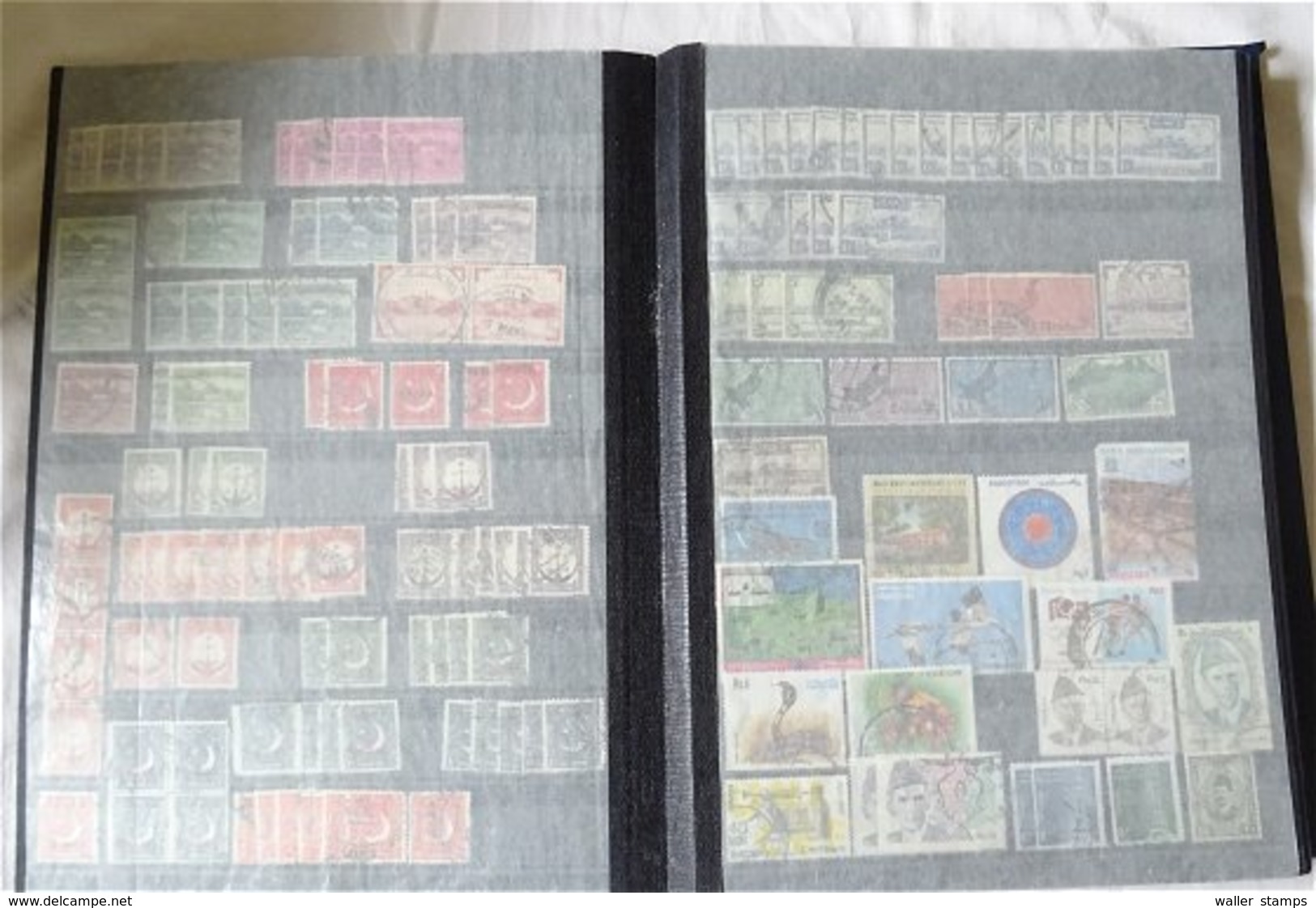 Lot With World Stamps In 10 Albums