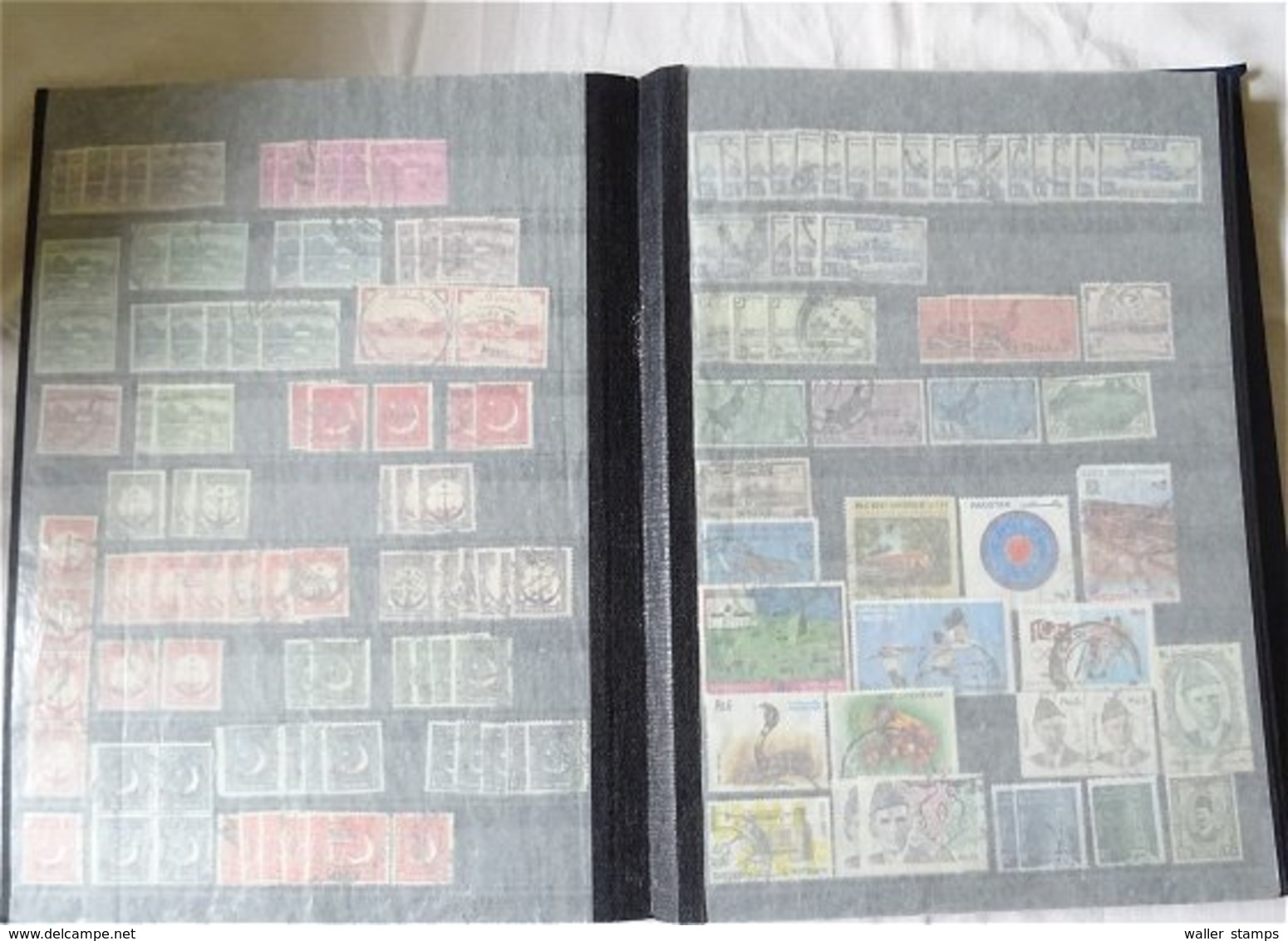 Lot With World Stamps In 10 Albums