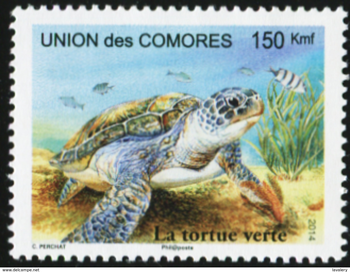 COMOROS Comores 2014 Turtle Reptiles Animals Fauna MNH - Schildpadden