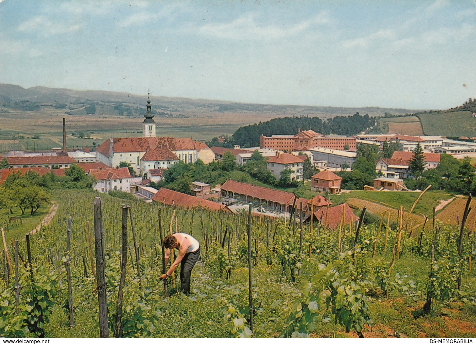 Lepoglava Croatia - General View W Prison Jail , Vineyard Vignoble 1972 - Prison