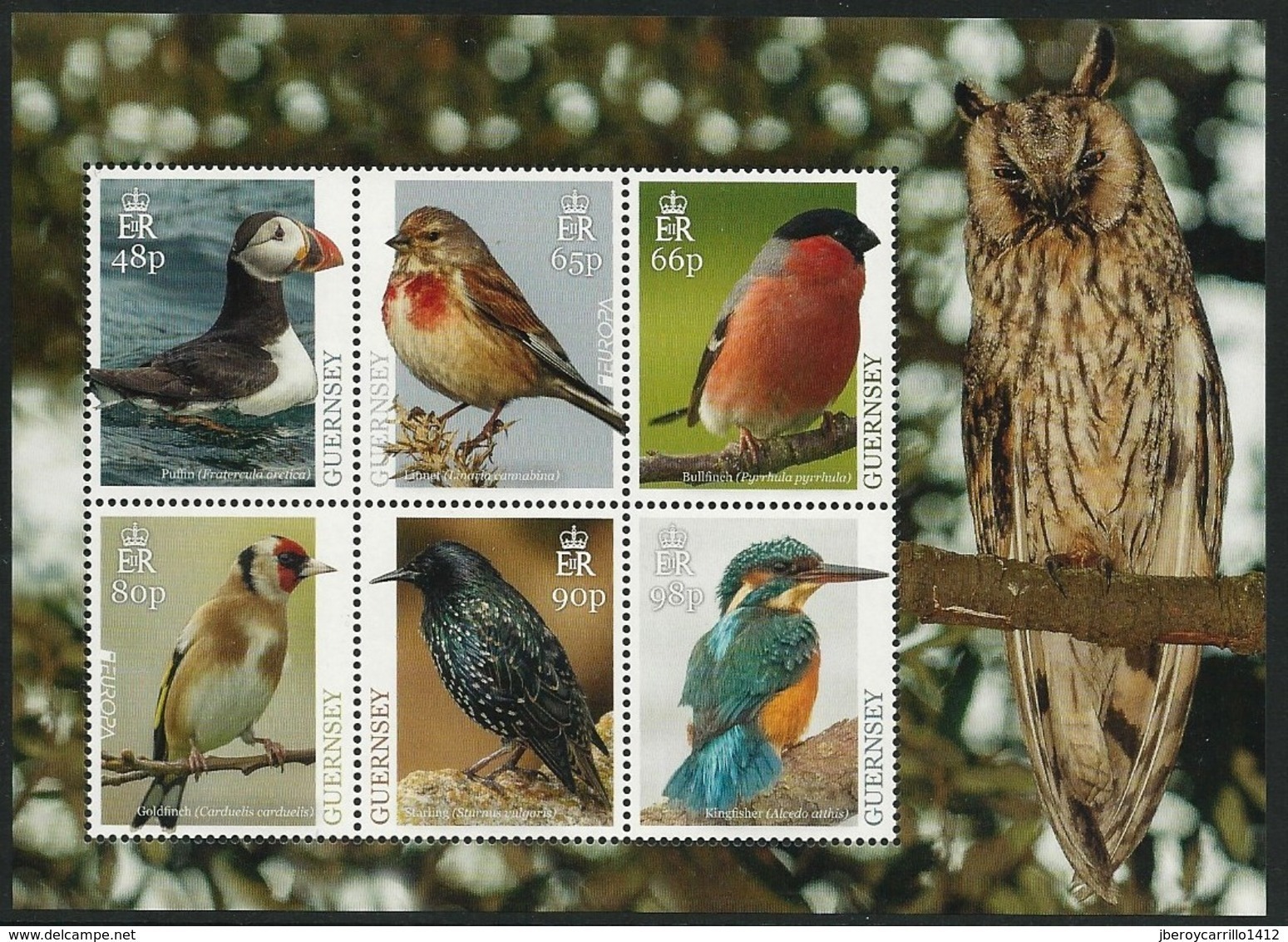 GUERNSEY - EUROPA 2019 - NATIONAL BIRDS & SYMBOLISH.- "AVES - BIRDS - VÖGEL - OISEAUX"-  HOJITA BLOQUE 6 V. - 2019