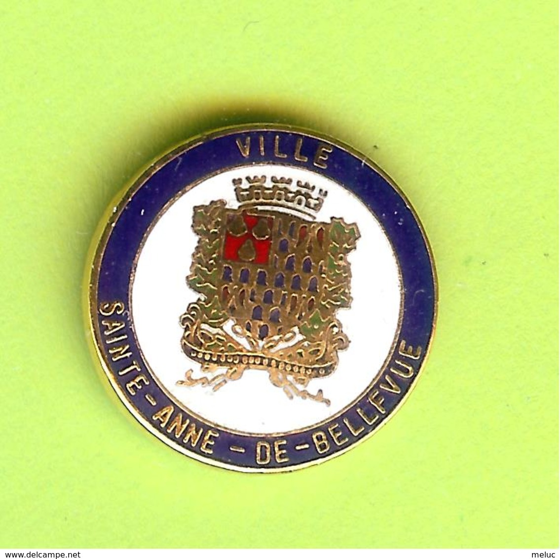 Pin's Ville Du Québec Sainte-Anne-De-Bellevue - 10FF20 - Villes