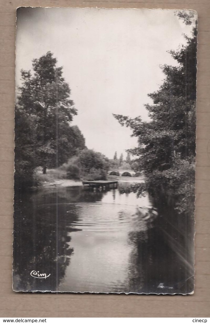 CPSM 03 - DOMPIERRE-sur-BESBRE - La Baignade - TB PLAN Cours D'eau + Vue Ponton Et Pont - Sonstige & Ohne Zuordnung