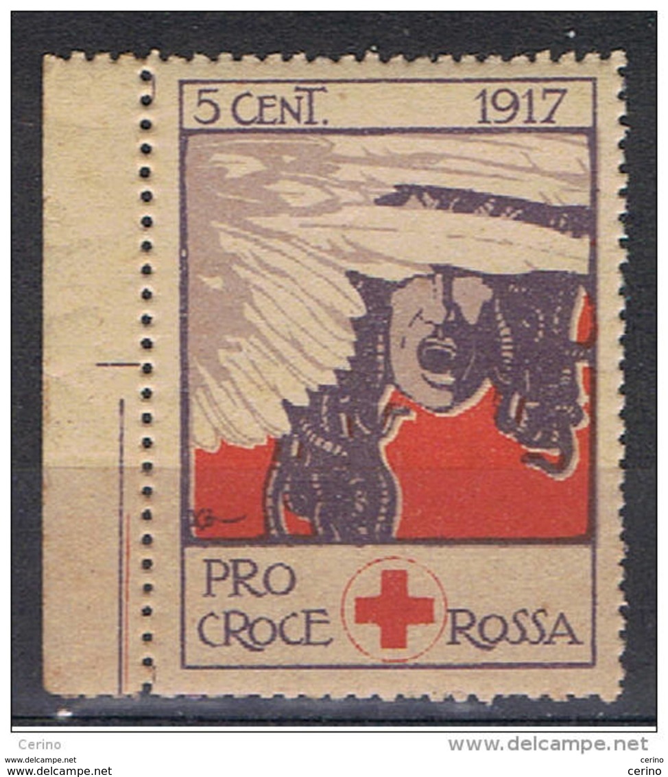 PRO  CROCE  ROSSA  1917  -  5 C. VIOLETTO, VIOLA  E  ARANCIO  N. -  D. 11 1/2 - Croce Rossa