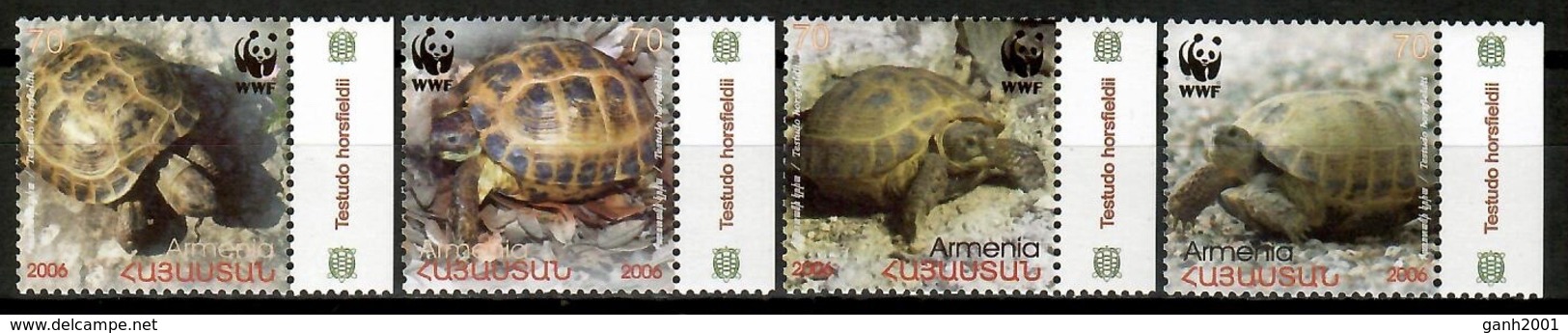 Armenia 2006 / Reptiles Turtles WWF MNH Tortugas Schildkröten / Cu13928  5-25 - Turtles