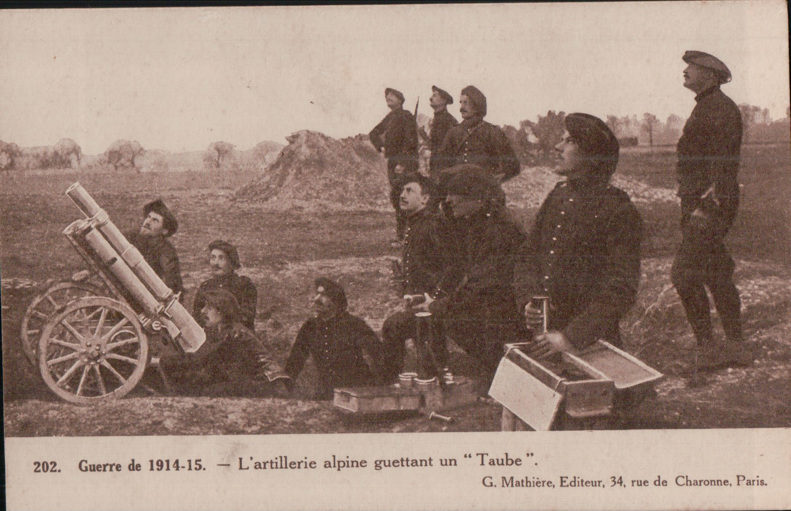 1030  14   18  TAUBE    NON   ECRITE VERSO - Guerre 1914-18