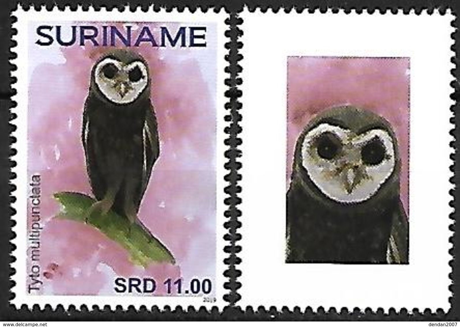 Suriname - MNH - 2019 - Lesser Sooty Owl    Tyto Multipunctata - Uilen